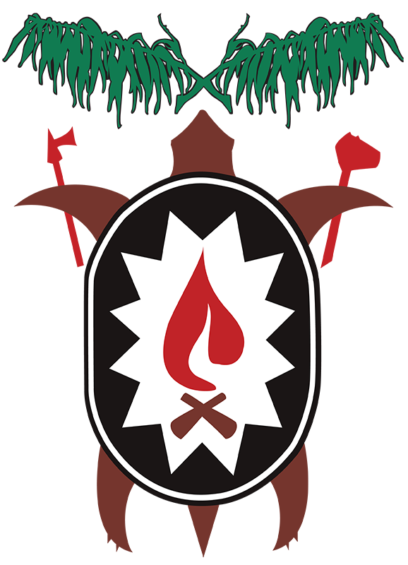 WTOK Turtle logo